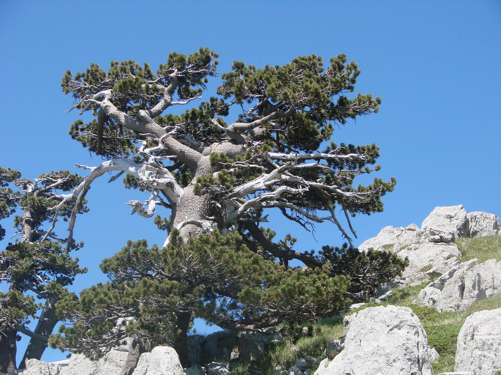 Montagne Rocciose Bed & Breakfast Frascineto Luaran gambar