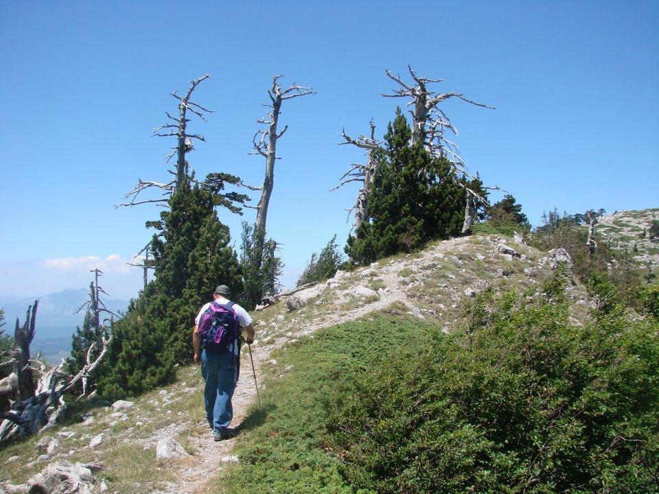 Montagne Rocciose Bed & Breakfast Frascineto Luaran gambar