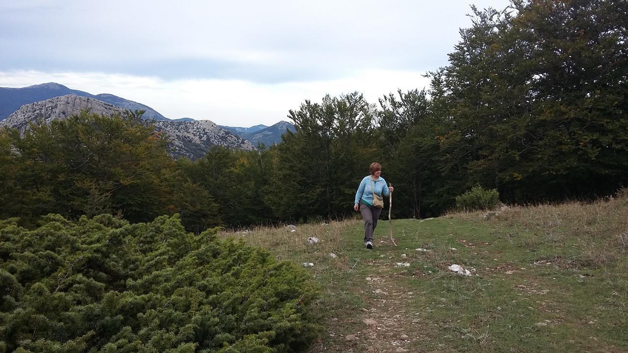 Montagne Rocciose Bed & Breakfast Frascineto Luaran gambar