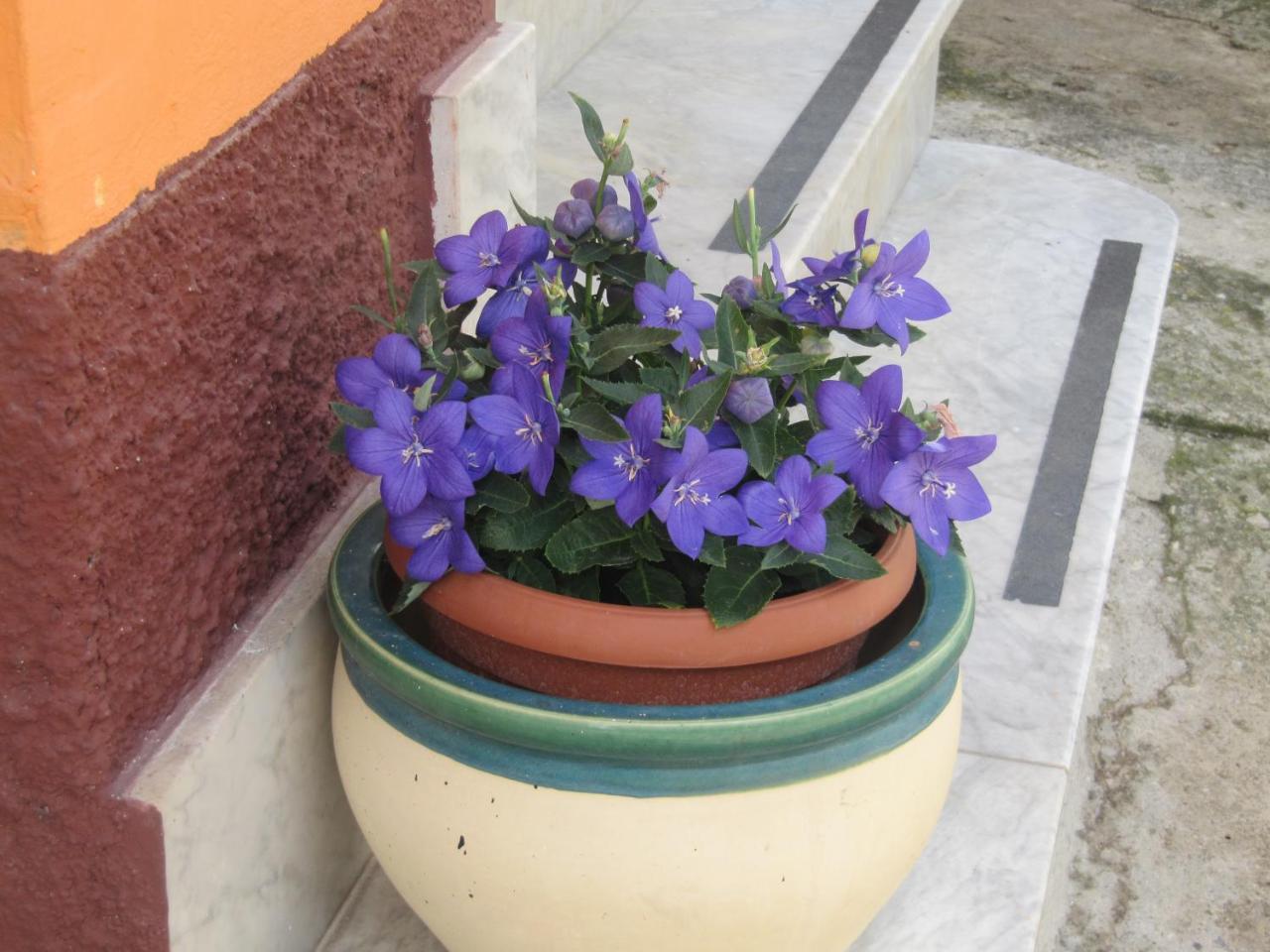 Montagne Rocciose Bed & Breakfast Frascineto Luaran gambar